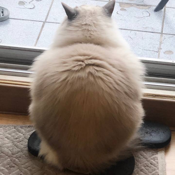 6ca2b5b1 a5f1 4507 964b 36d365b35d2f 1578656917014