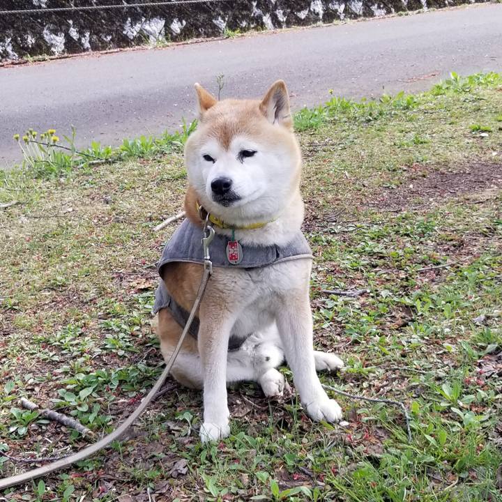 6ca2d924 c3a5 4291 a7b3 f85b2cf969f7 1682060533063