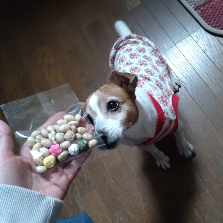 6ca2dfa7 cbf0 4981 aaaf fa05bced0bac 1770109337602