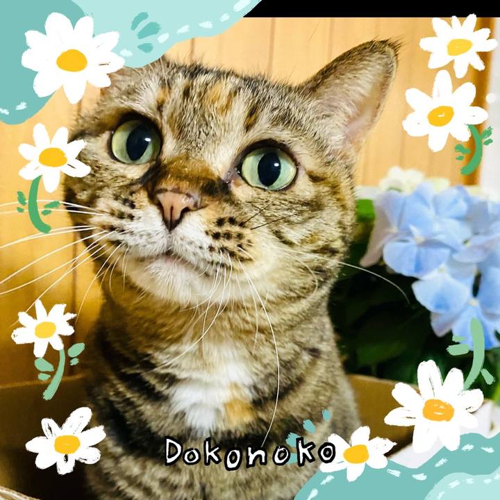 6ca2e219 5c33 48cc 9591 4808b8fdbb29 1712403073572