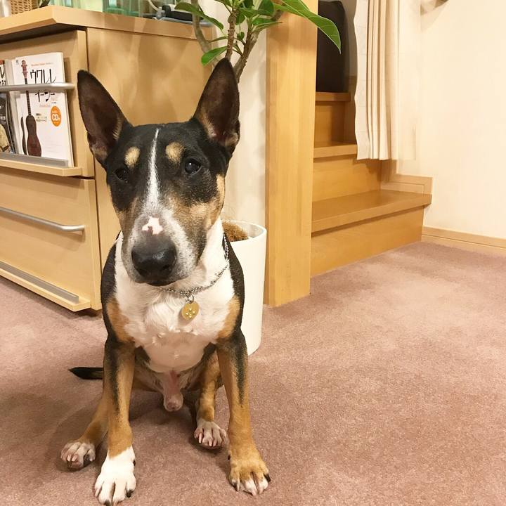 6ca2e390 2793 49f7 945f a0434e2bc7aa 1526642382660