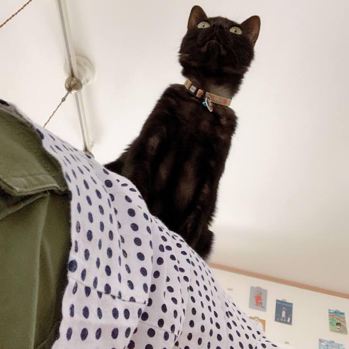 6ca30d3c 303b 4afd a013 74978f3527c2 1560502426676