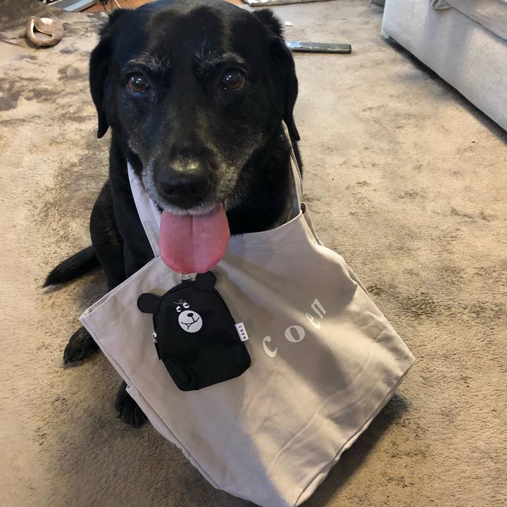 6ca33633 d777 4cef 9d6f 592f52075b14 1589083073669