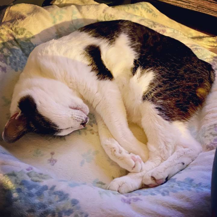 6ca375b8 583f 4dd4 aa47 093c141d30ca 1619358369385