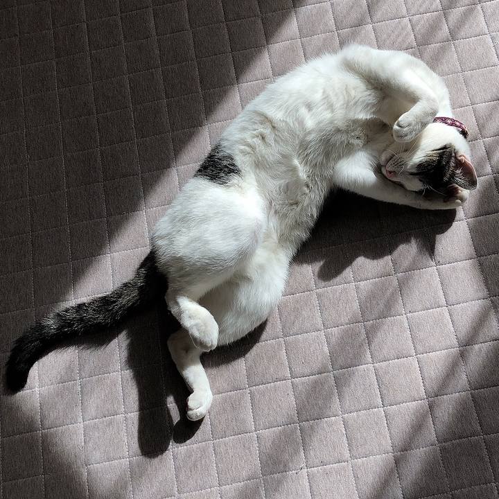 6ca385d2 4147 4a96 8777 fefb1f937b2e 1642834312906