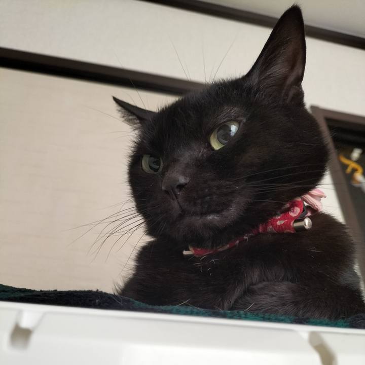 6ca390cb 78ce 4caa 9510 74bfd300e187 1647384076440