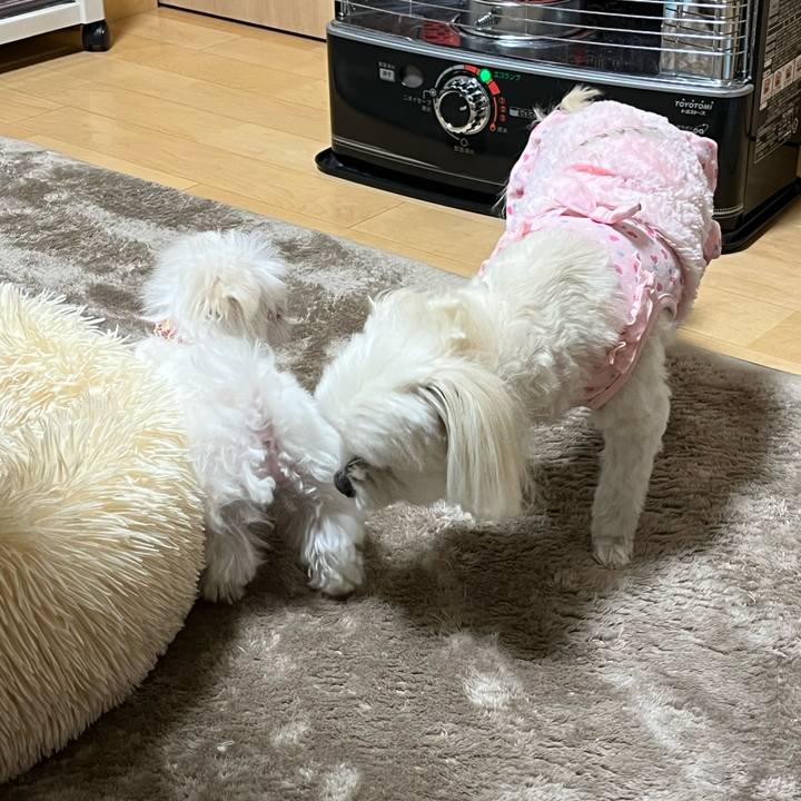 6ca3a755 65e5 4be2 a6b2 0acf58e926b5 1701859323251