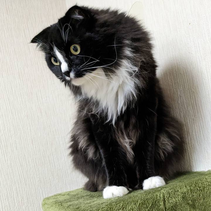 6ca3b5d4 350a 4267 83eb 4a9422675724 1682170602513