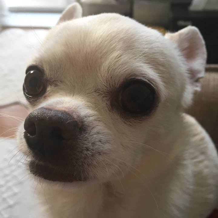 6ca3e55d 83d5 4746 8df7 53fbd36beee5 1522360841355