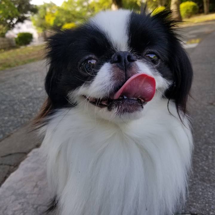 6ca3f7d1 38b5 4a4b babc 0a97d93afc35 1651915363762