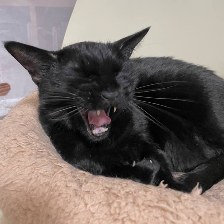 6ca40dc2 1a0c 4851 a639 eb8d1838937b 1674824292443