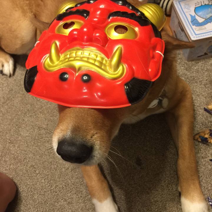 6ca42255 e33c 40a9 9072 a27a3b770fe8 1549203457177