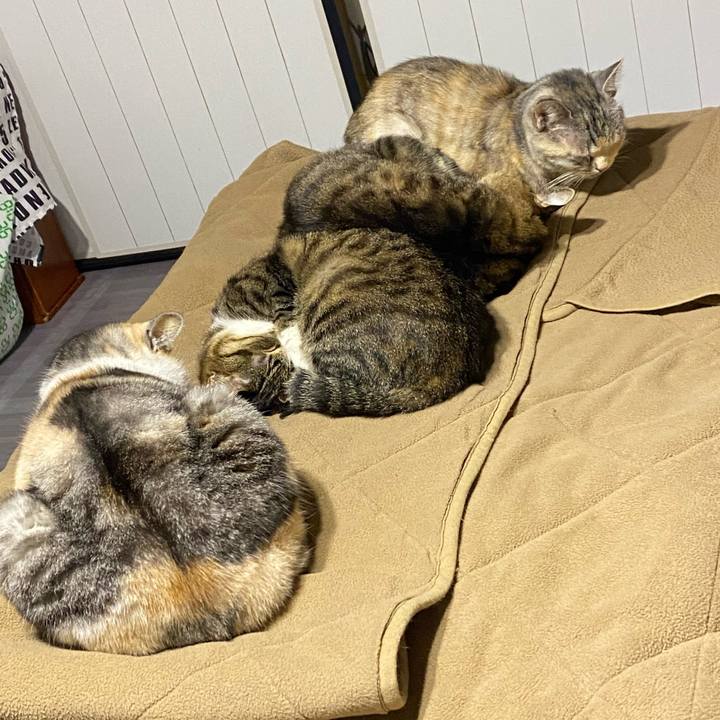 6ca43148 fc26 4b32 844b 633882f1ba2c 1611488584605