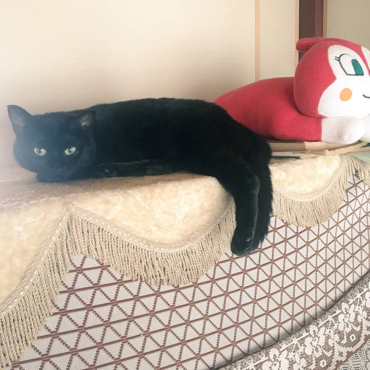 6ca43232 cb69 436d 9e17 25375e18dd52 1531269208138