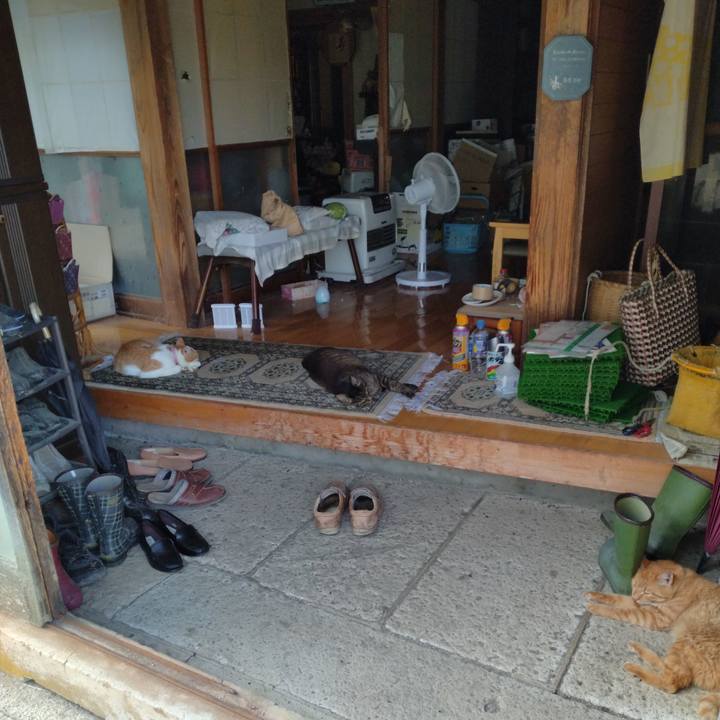 6ca4542d 8c79 4e94 8671 a467117834f2 1751875562791