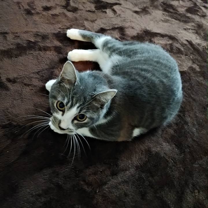 6ca46096 7a65 4070 8350 ab66685d8867 1574548330913