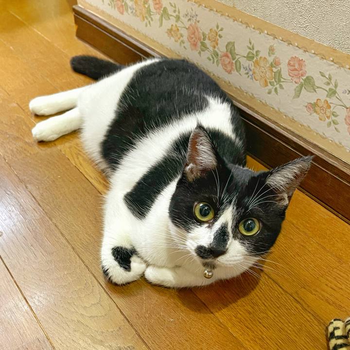 6ca4758d 7063 45de aba8 6846744e6b87 1752447652138