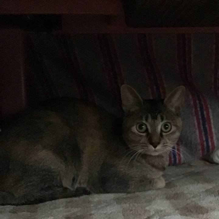 6ca48fd0 ff1a 48f3 9f3e d25e9869e31d 1576212742818