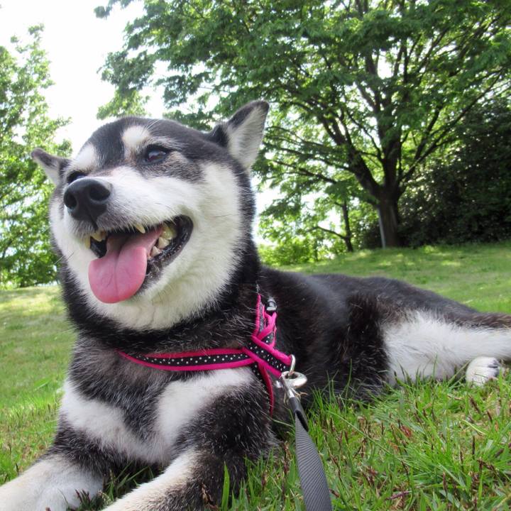 6ca502fe b129 48a0 9c6e 7b93e4a4068a 1590119792266