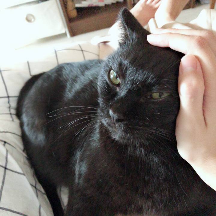 6ca52022 d60c 4b3b bd2f 3491efe79d90 1537075224497