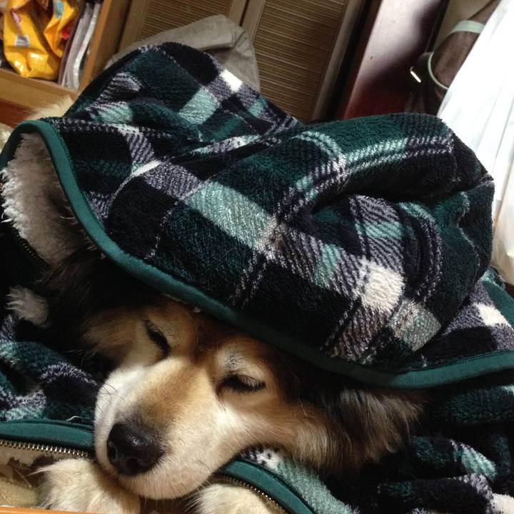 6ca559b5 d957 4638 8298 2d55d31b571a 1563735793894