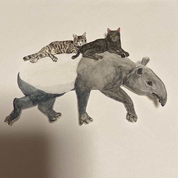 6ca5a0d2 92b4 4458 a182 15ecedef0a59 1707564481461