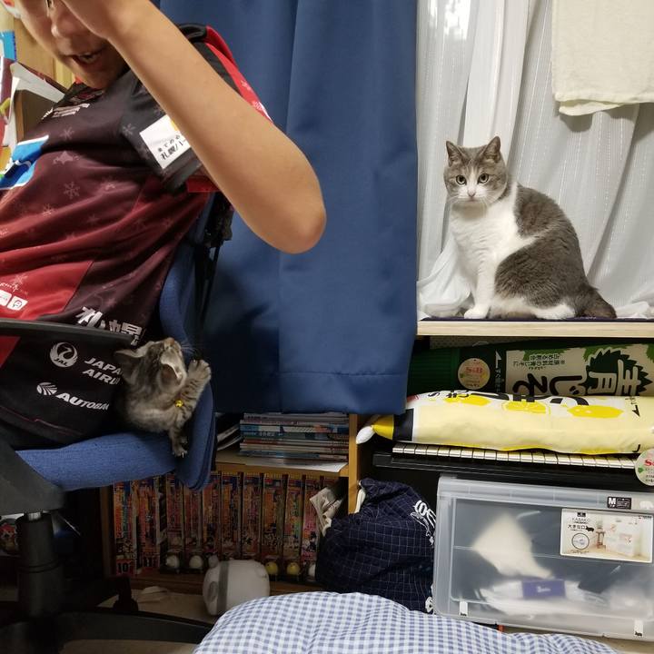 6ca5c359 b510 4770 b123 5a870b23e063 1663524971776