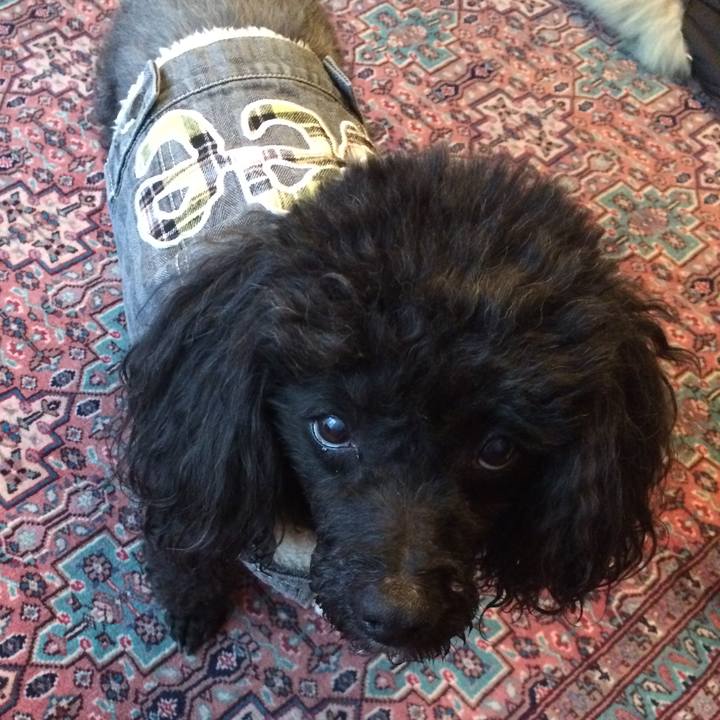 6ca5ce80 7672 4d1b 8bc8 1d0c3487b691 1761528718382