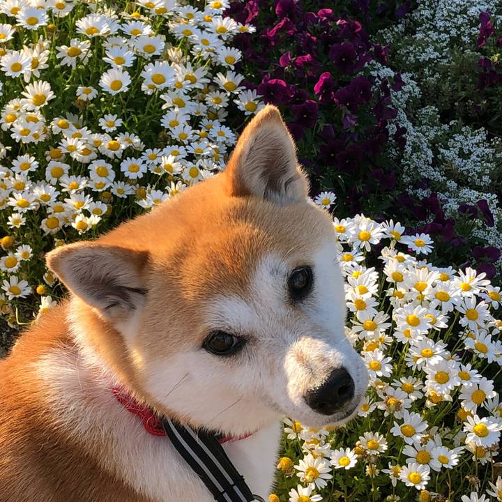 6ca67d34 06d2 48fa abfe c1d79e17c2ca 1525346165247