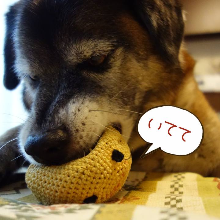 6ca67f25 ce3f 4896 beb4 e15746421e03 1640653316889