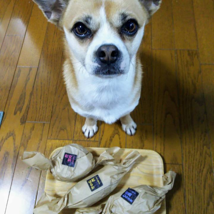 6ca6daf3 b2a4 4716 a309 f454f2c38e75 1583101771744