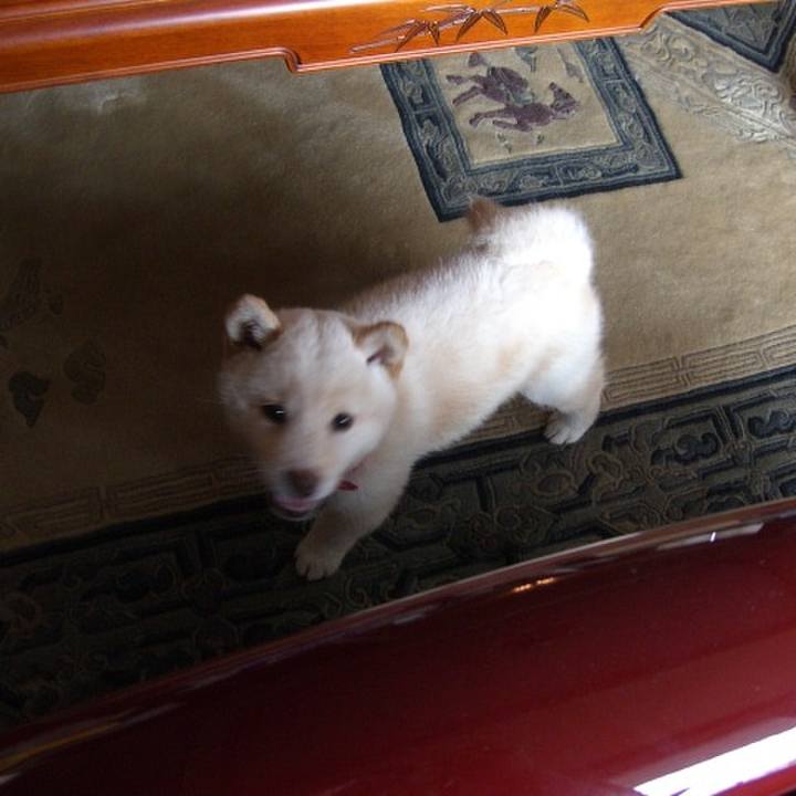 6ca6e274 d6de 47f4 a05a 4b78a3053447 1676561525121