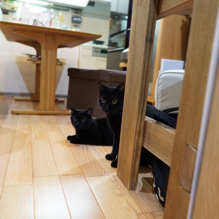 6ca752e3 a365 4ac2 934f fef53ae8080f 1567264023028