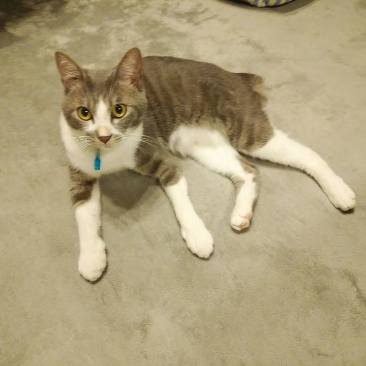 6ca79d26 6a1a 43f1 996f a87f7749c810 1594735838734