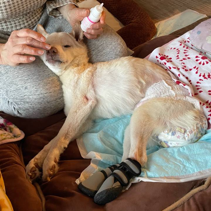 6ca7b6f4 bb64 4a65 8e7f 26d20da279f9 1674470621652