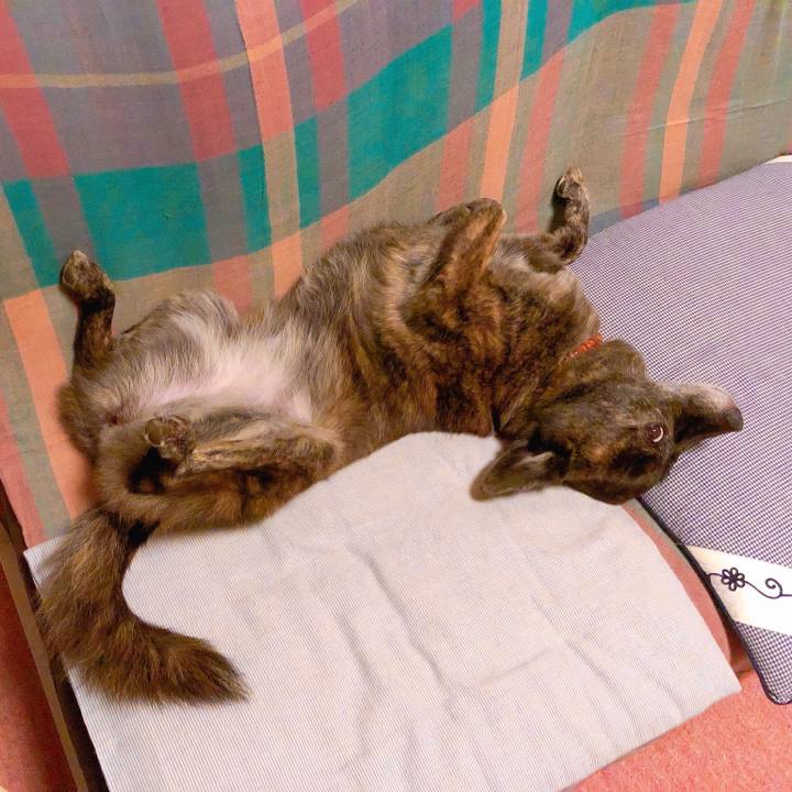 6ca7bdac d485 4435 9a52 a043fe13d276 1565971329542