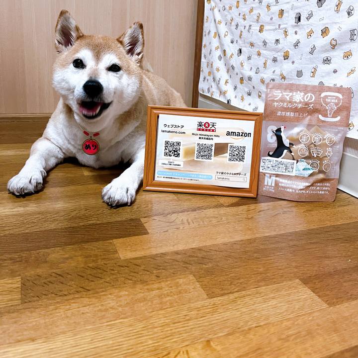 6ca83848 fca7 4dcf a4d8 d996db94f75f 1721288914188