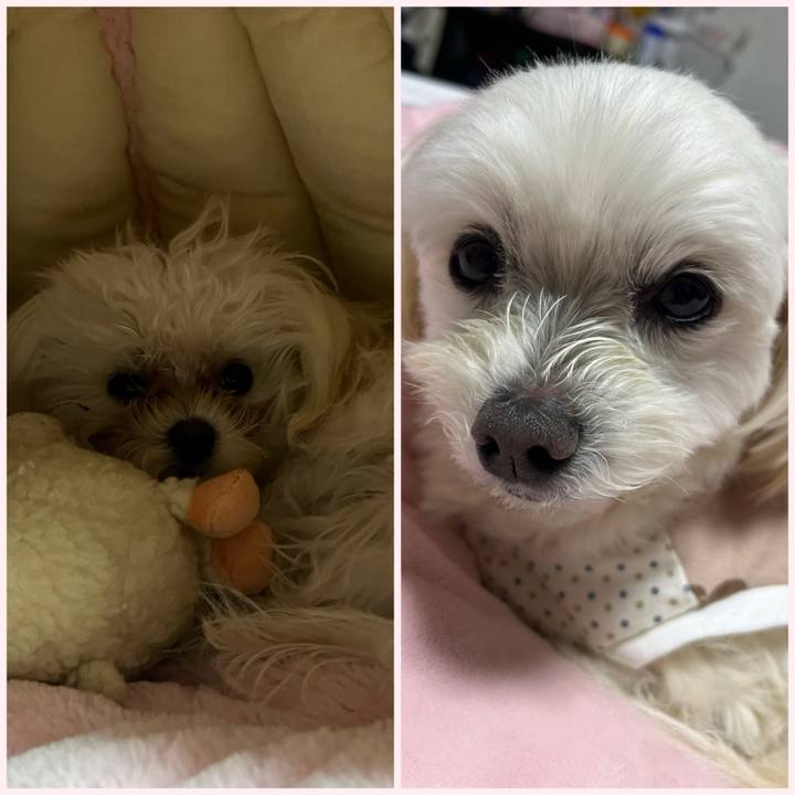 6ca84ddf afc9 431d aa1c 555bae2e48b0 1709985042978