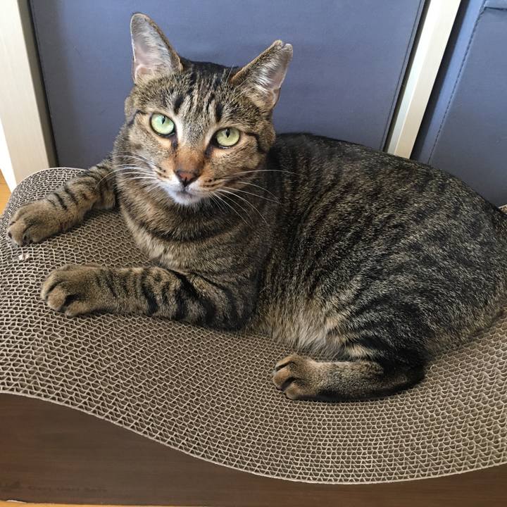 6ca84de2 27c8 488d a4e8 ec2fbfb8bde9 1583922998457