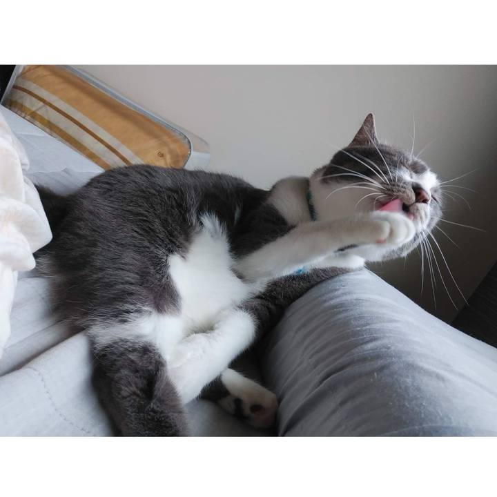 6ca8661a 368a 4c98 b448 3e8afb80ca67 1652937297647