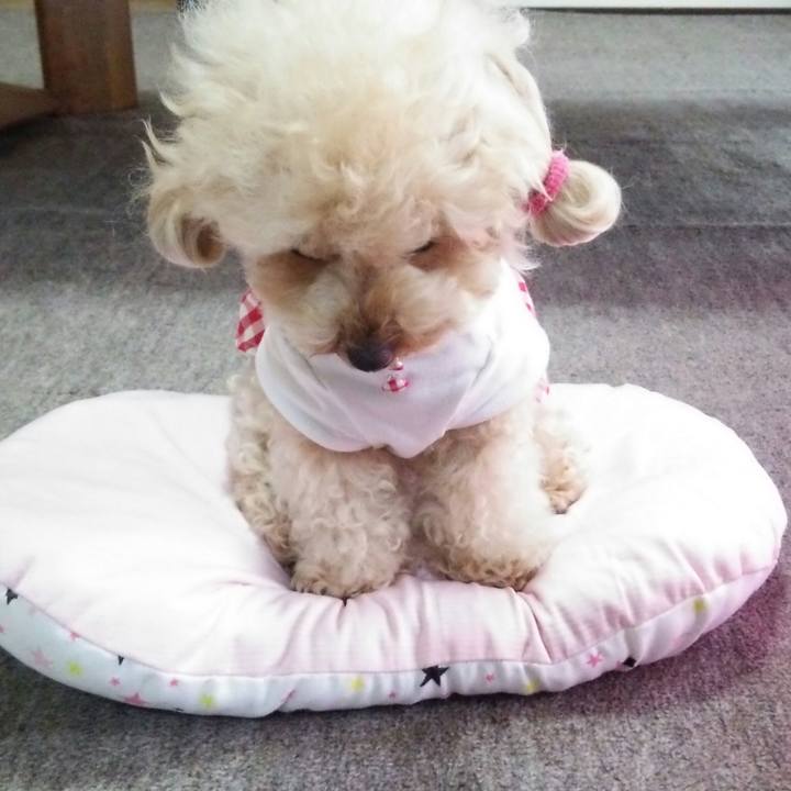 6ca89b33 5425 422d aede 571d7435089a 1531181804067