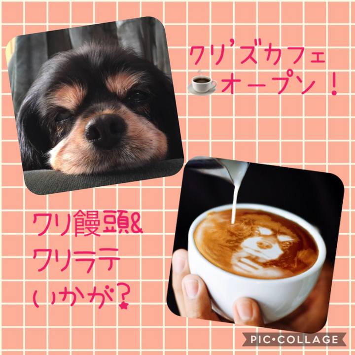 6ca8aee7 0210 4ff8 aa57 7c91a34210e3 1541837089771