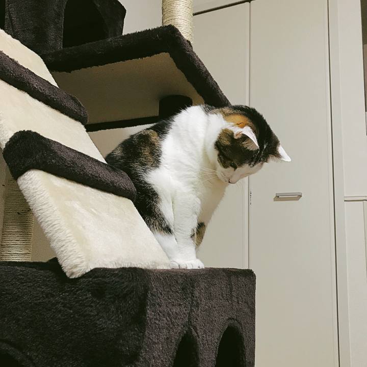 6ca902f3 3665 44c2 916d 01d1f72f8bb1 1513132579806