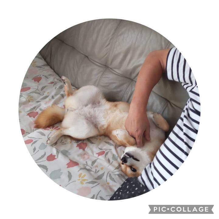 6ca918fa 1ba6 476d b4cd 61d81d1dd33b 1684907708160