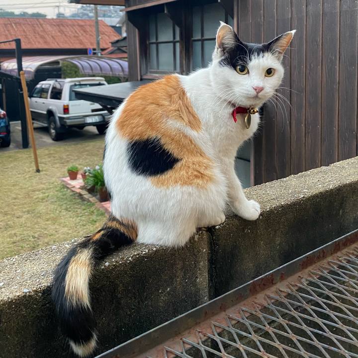 6ca93f0b 6153 467e 80c3 133f123d72a3 1639695863428