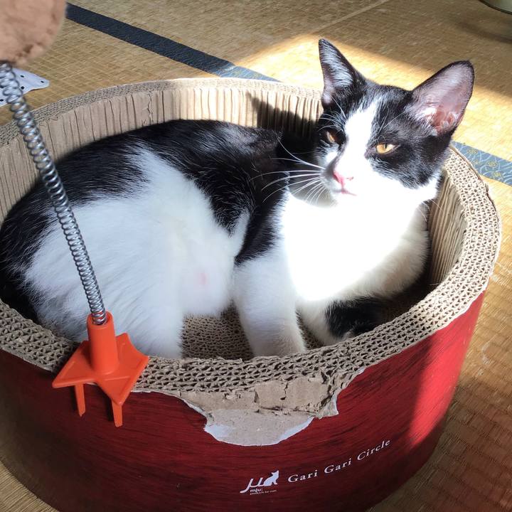 6ca94dfc 064a 42b3 aa52 2f7a142becd5 1630114542499