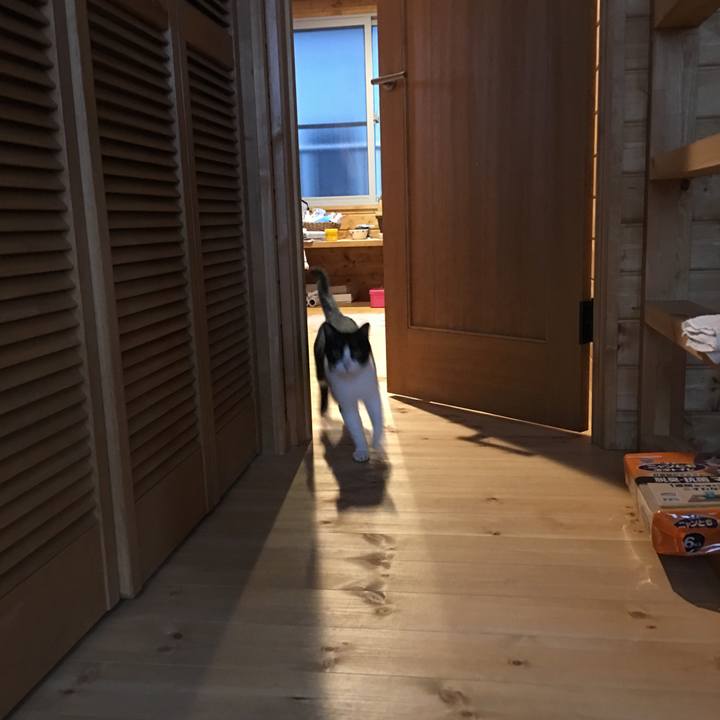 6ca9680c cd20 48b2 bf59 febf27eef893 1511272496598