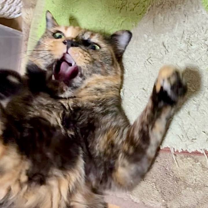 6ca97749 15ca 42eb accc 4a1d28295fb4 1752350724076