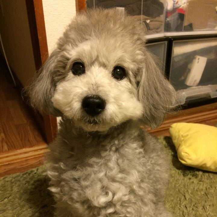 6ca99f0c 7423 4468 bbe4 64a9456bc6a0 1739319733803