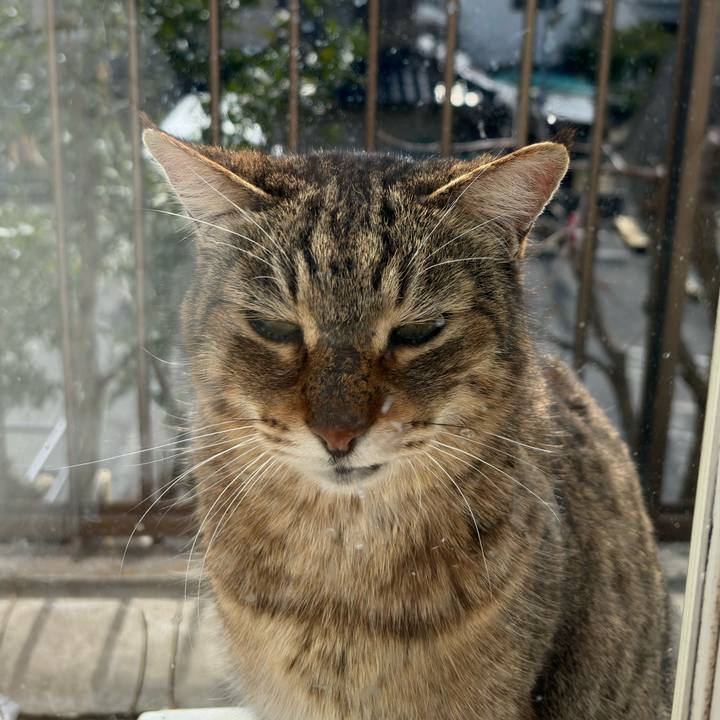 6ca9c0ba c51e 48c6 8ced e52b4b785703 1772170400059